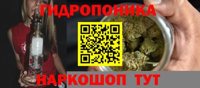 ГАЛЛЮЦИНОГЕННЫЕ ГРИБЫ Дубна