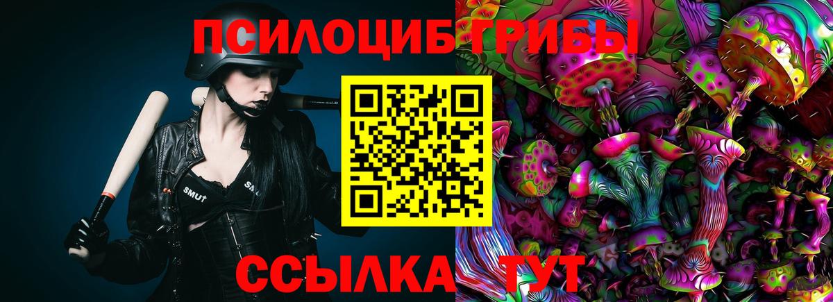 Майкоп  Галлюциногенные грибы Psilocybe  Вход с VPN 
